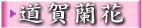 道賀蘭花-組合盆花..網路送花.